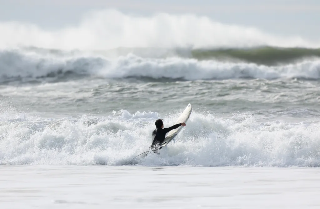 077e2f113a20d758486fd295ae1e3d72