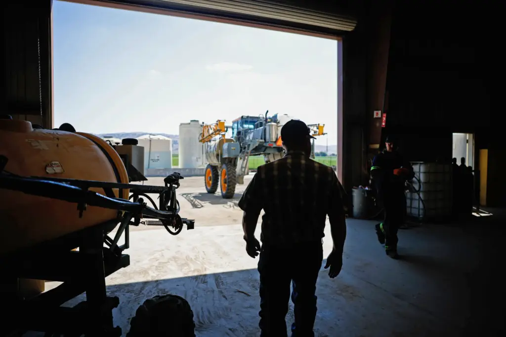 Paul Mirassou, farmer and partner at B&T Farms, walks out...