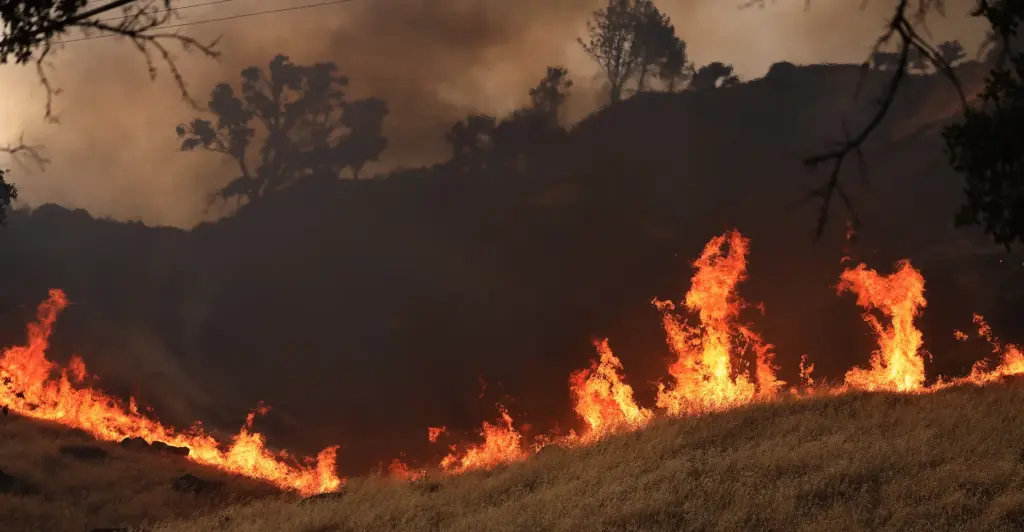 An open flank of the Putah Fire eats through dry...