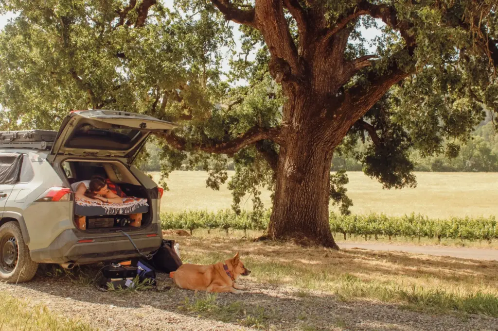 Nelson Family Vineyards campers enjoy the quiet. (Courtesy photo)