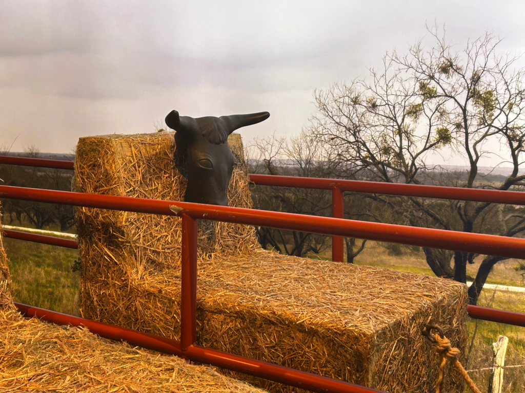 The herding game at Dutton Ranch at The Lodge activation...