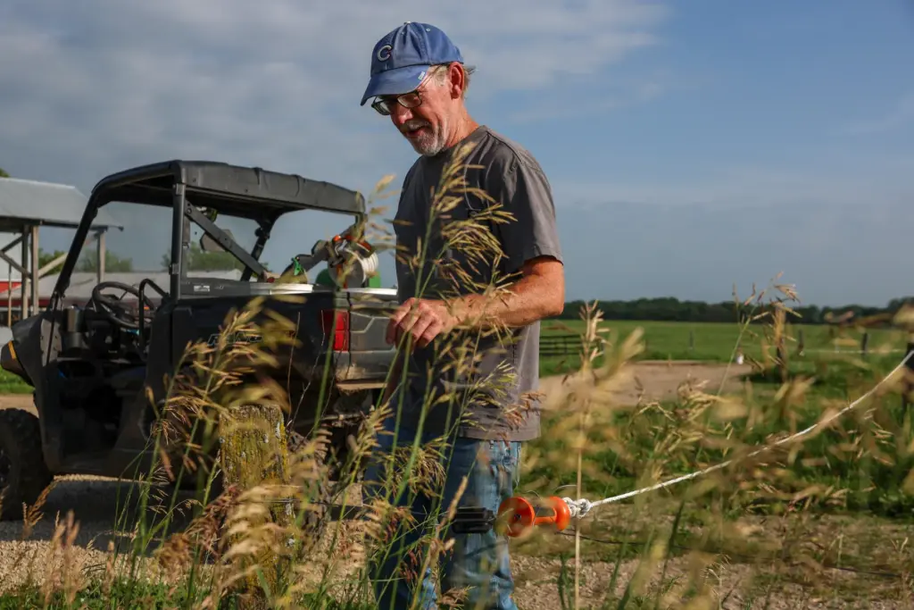 Cliff McConville, owner of All Grass Farms, secures a line...