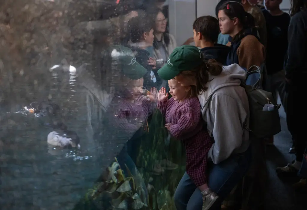 Hailey Whitley of Verdi, Nevada, holds her daughter Amalia, 2,...