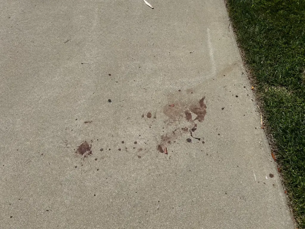 Blood on the driveway at the victimâs house at 2000...