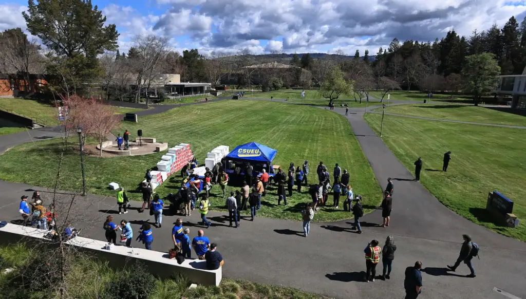 California State University Employees Union and the California Faculty Association...