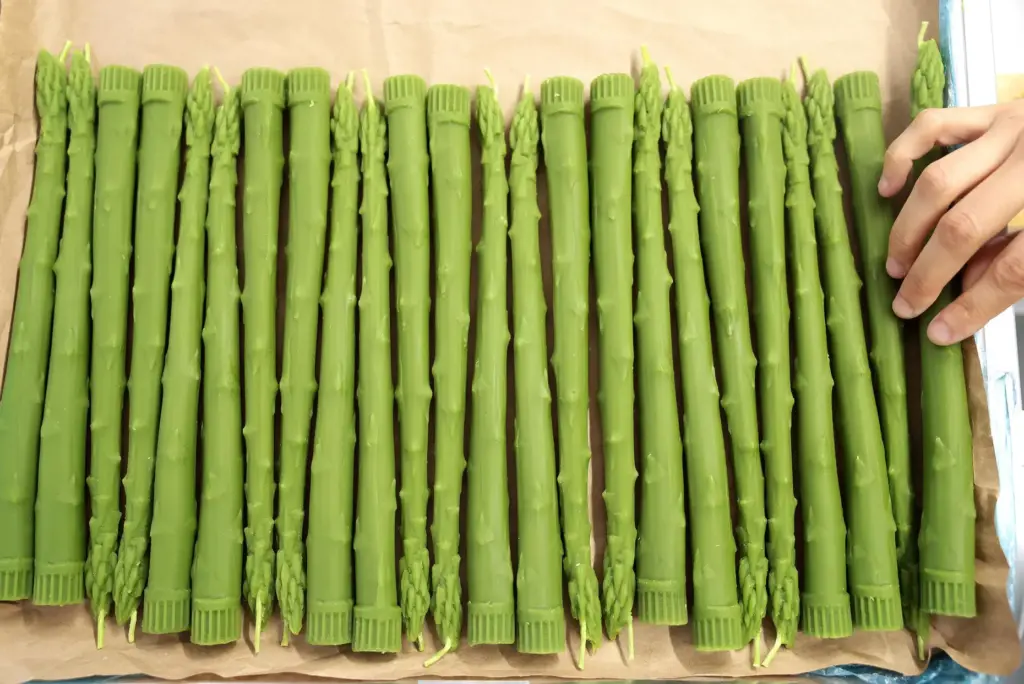 Asparagus candles are made at Happy Organics' studio.