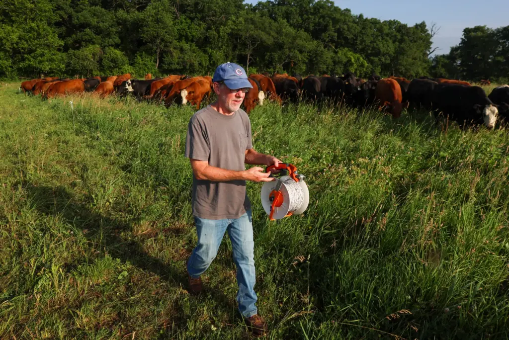 Cliff McConville spools a portable electric fence at All Grass...