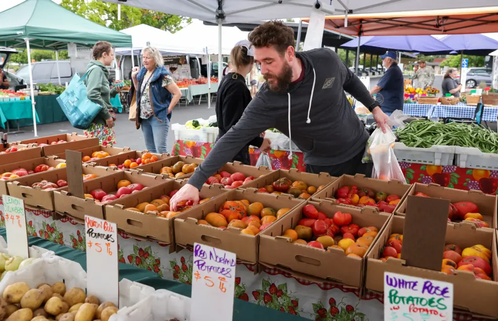 Bod Robinson picks out tomatoes in The Patch stall at...