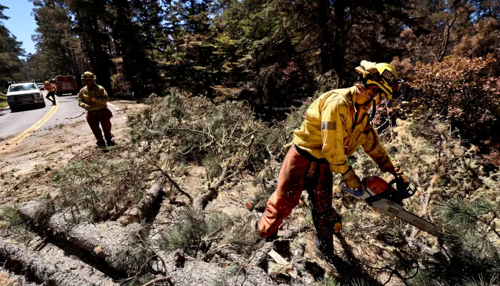 Crews buck a felled tree over Highway 1 in the...