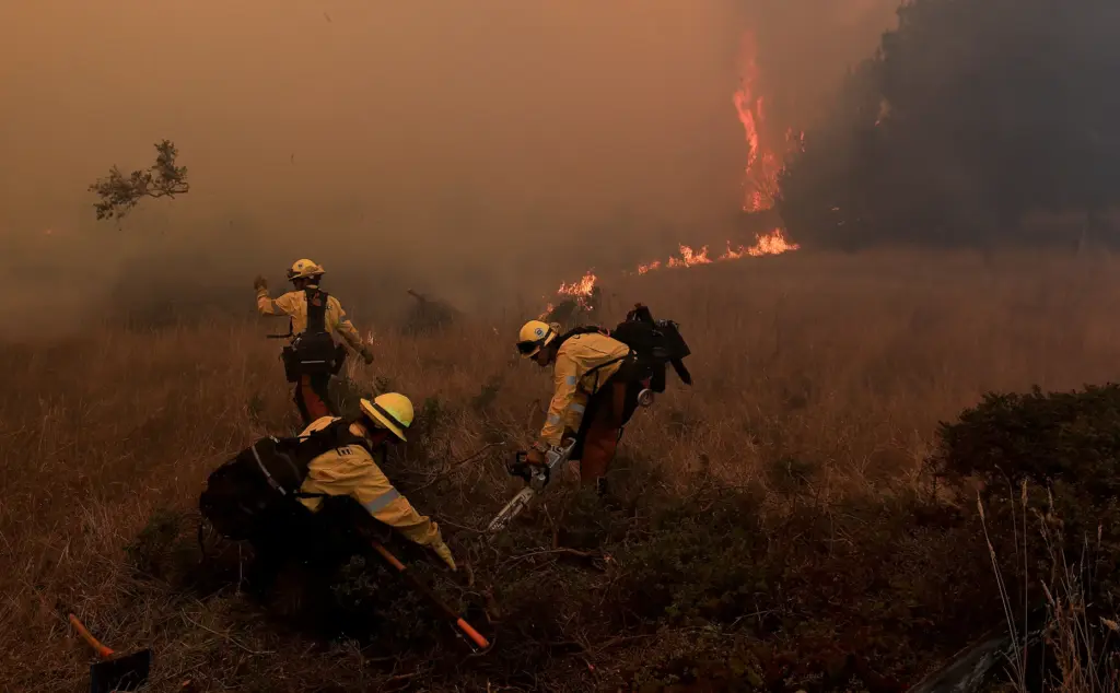 Cal Fire helitack crew from Howard Forest clear brush from...