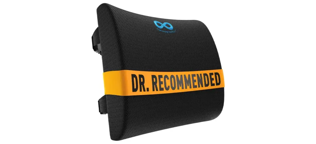 Everlasting Comfort Foam Back Cushion