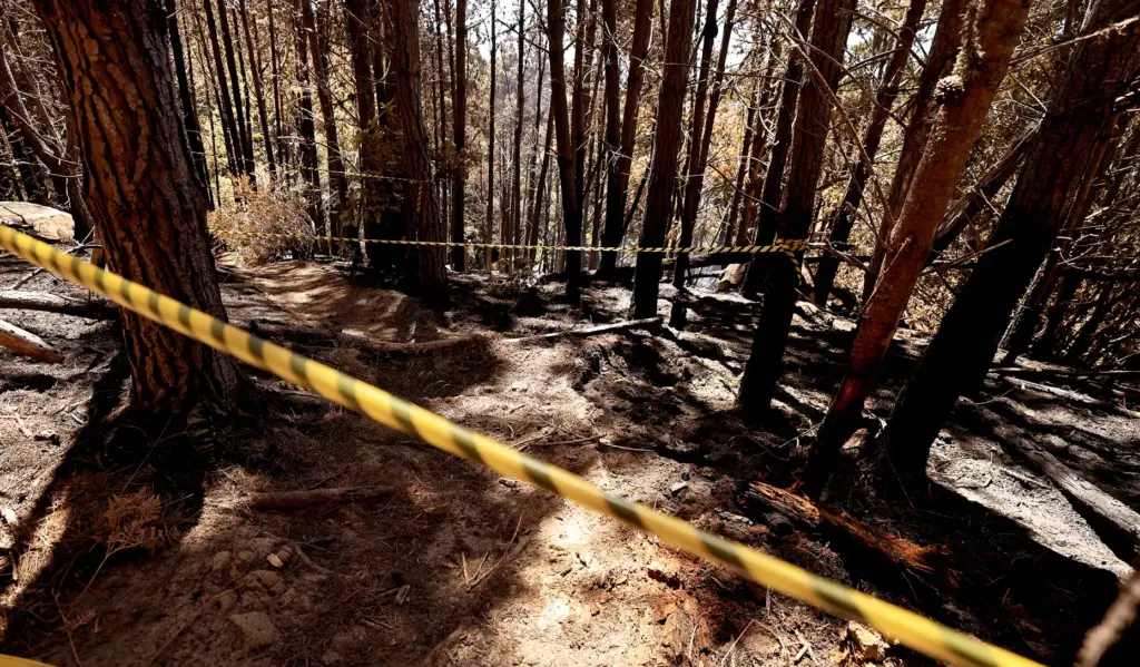 The origin of the Woodside Fire, within close walking distance...