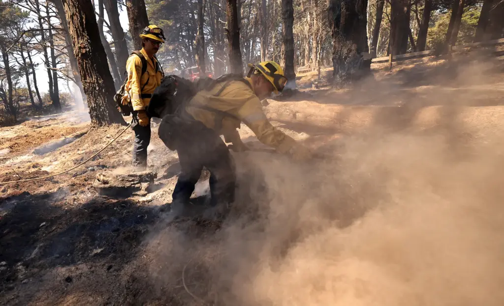 Alexis Garcia and Joe Belli with Cal Fireâs Santa Clara...