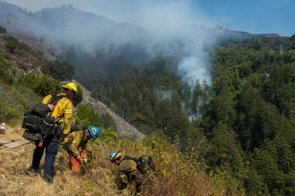 Crews clear brush above Castro Canyon as the Timber Fire...