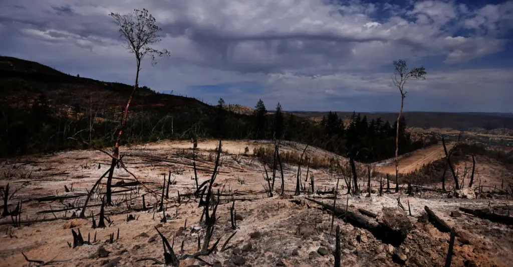 The Pickett Fire burned across hillsides above Aetna Springs on...