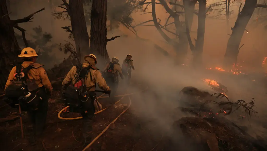 A Mount Tamalpais hand crew heads to cut line on...