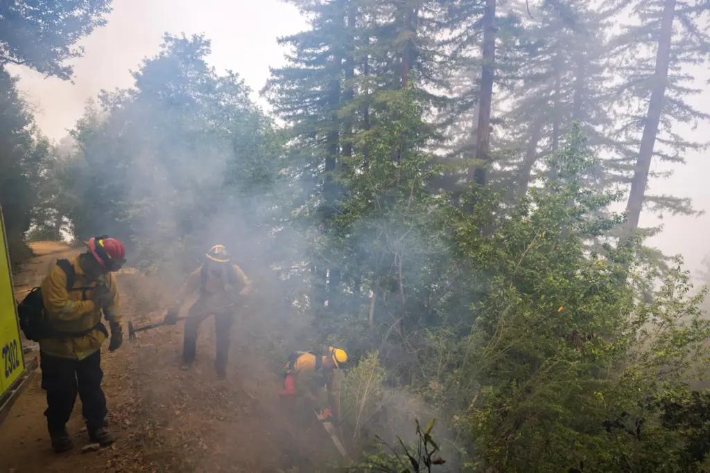 Firefighters put out spot fires from the Timber Fire above...