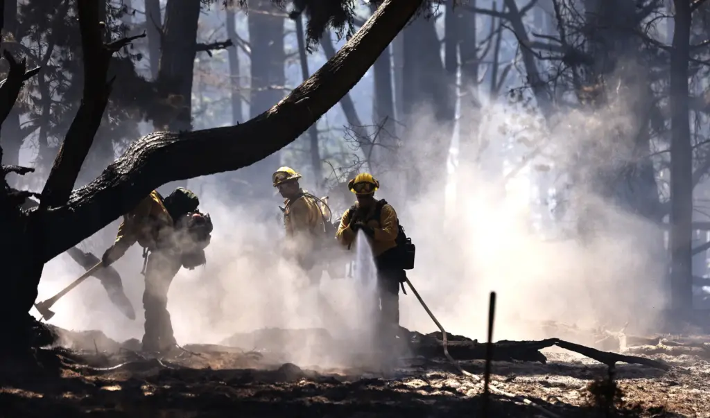 Cal Fireâs Valley View hand crew firefighters mop up at...