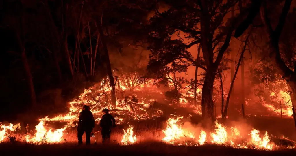 California Conservation Corps firefighters slowly bring a backfire downslope as...