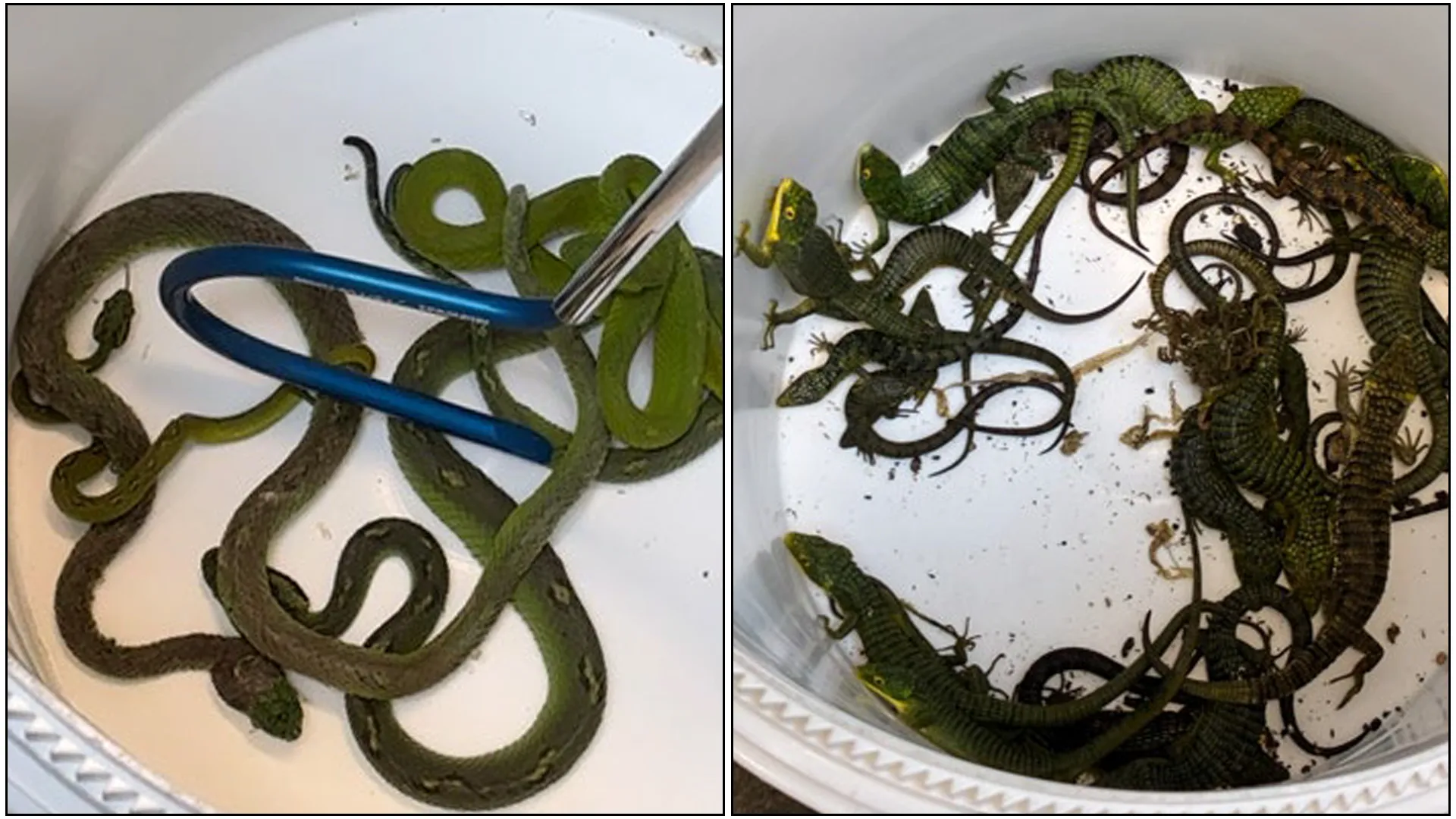 e06c8f2beb282f917a32ff7f30c57610