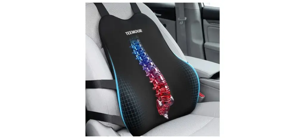 Teemour Lumbar Support Pillow for Car Seat
