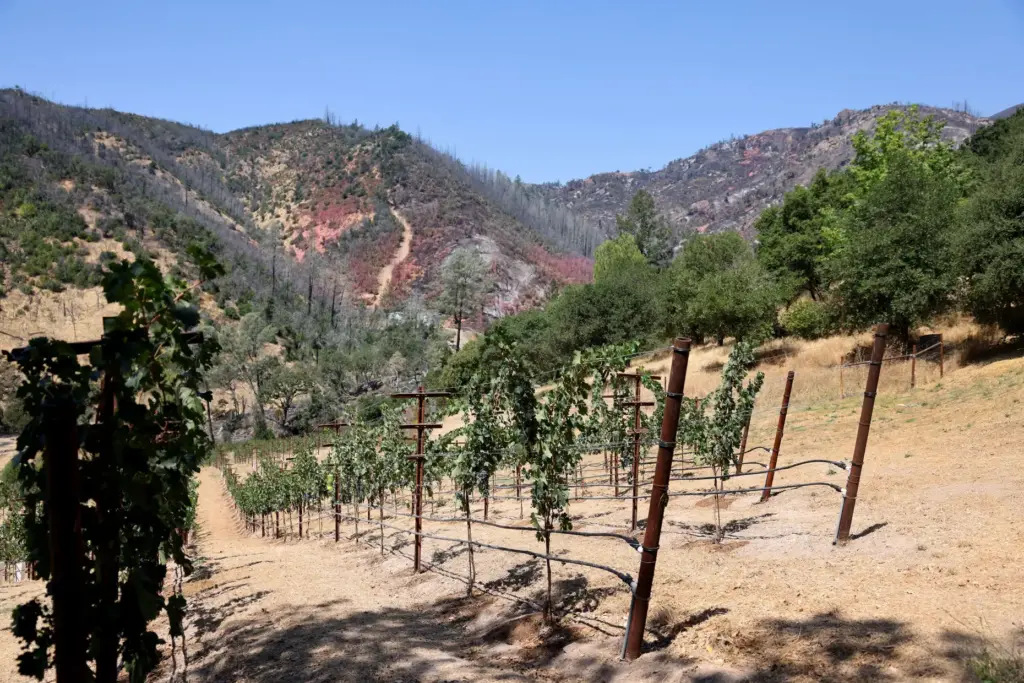 The property at 2343 Pickett Road in Calistoga, where Cal...