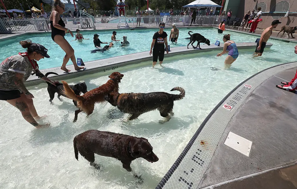 The pool at Simpkins Family Swim Center is filled with...