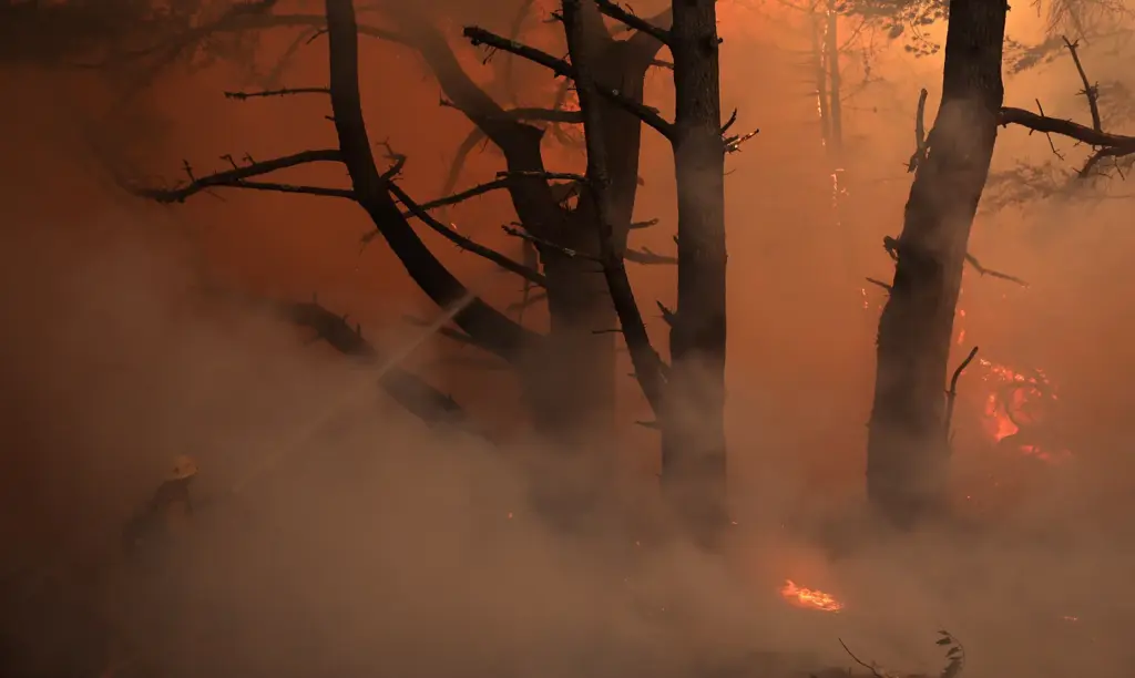 A Mount Tamalpais hand crew firefighter cools down the Woodside...