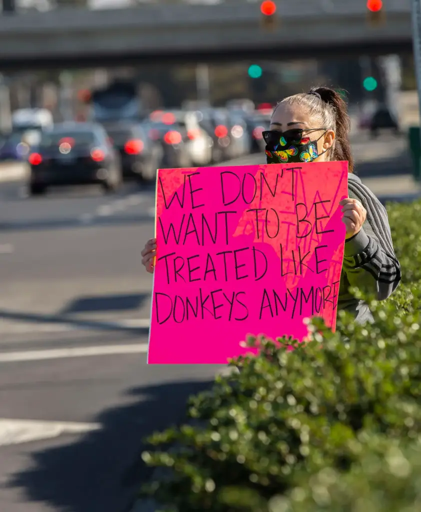 A protestor supports Amyâs Kitchen production facility workers during their...