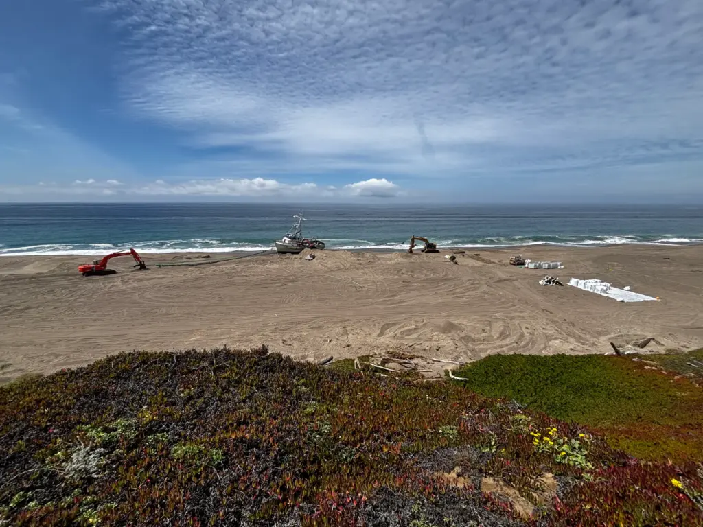 Crews work to remove 30-50 tons of rotting squid from...