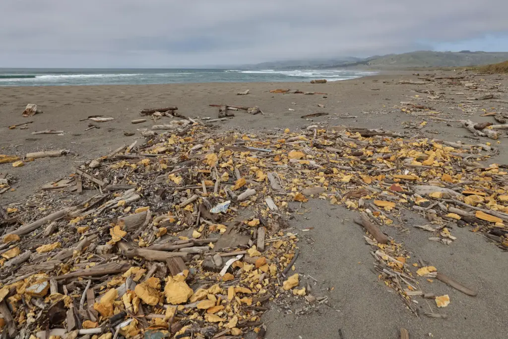 Pieces of foam debris from the Aleutian Storm wreckage litter...