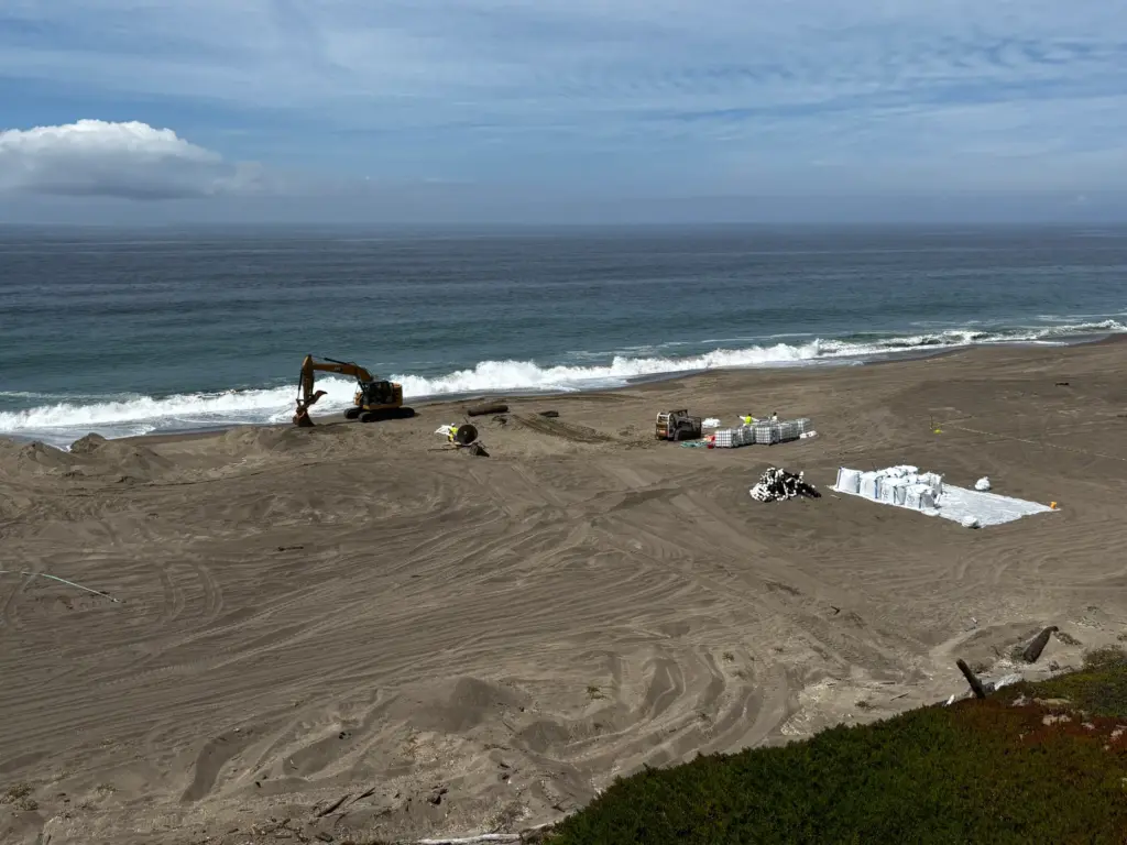 Crews work to remove 30-50 tons of rotting squid from...