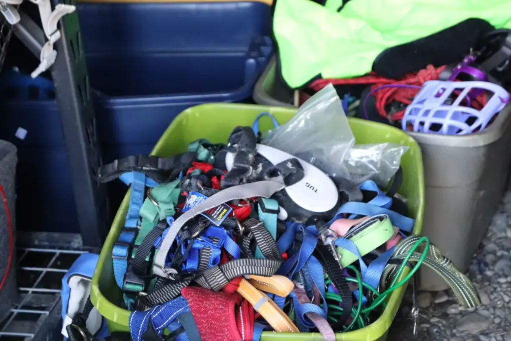 A container full of a variety of leashes and harnesses....