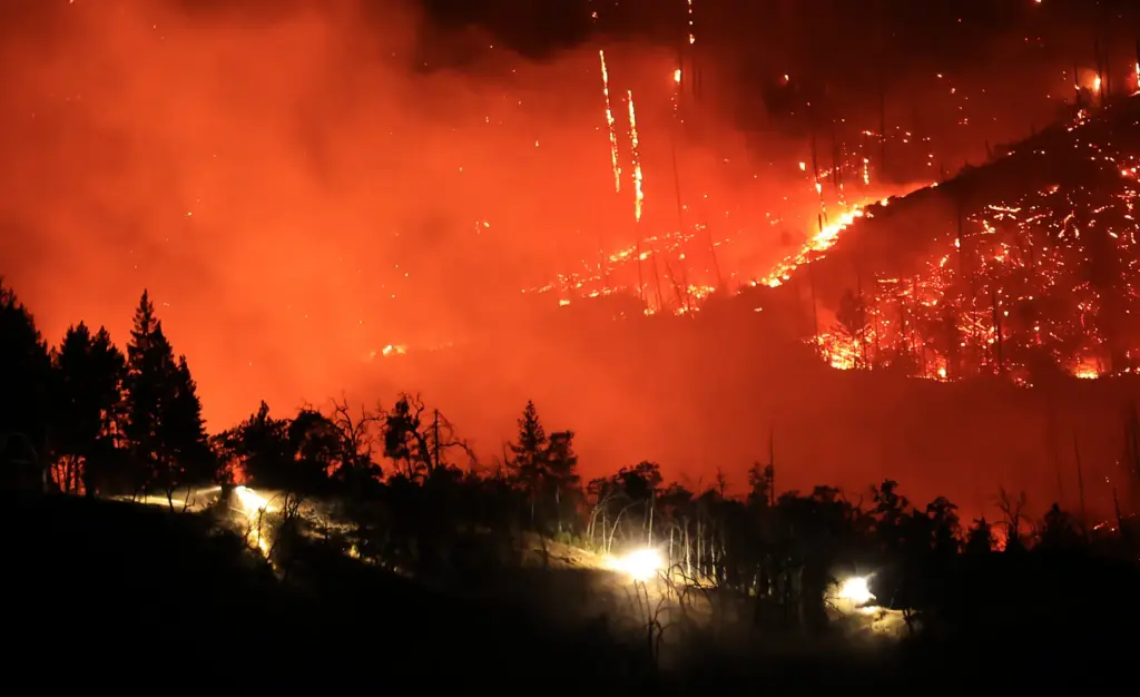 Three bulldozers are used to create a firebreak across the...
