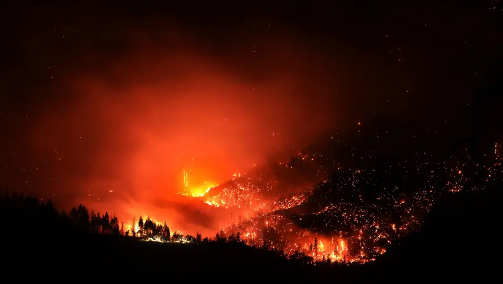 In the burn scar of the 2018 Ranch Fire which...