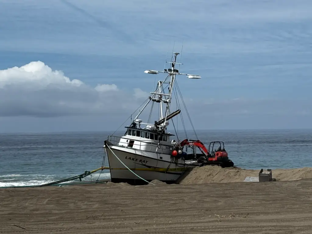 Crews work to remove 30-50 tons of rotting squid from...
