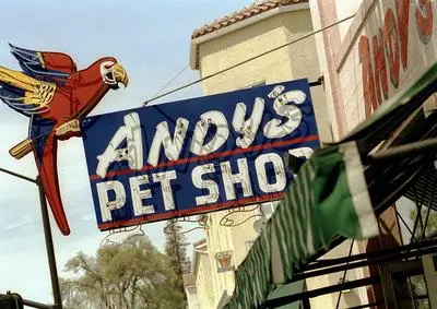 The sign for Andy's Pet Shop, shown on the original...