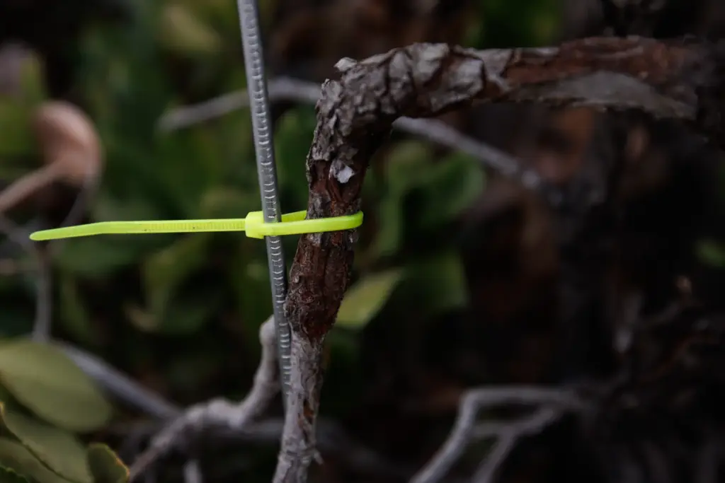A zip tie secures an allegedly tampered sign of a...
